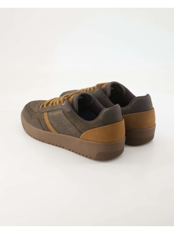 bugatti shoes Sneaker low in Braun