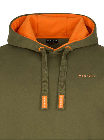 DENIMFY Sweatshirt DFBenno in Grün