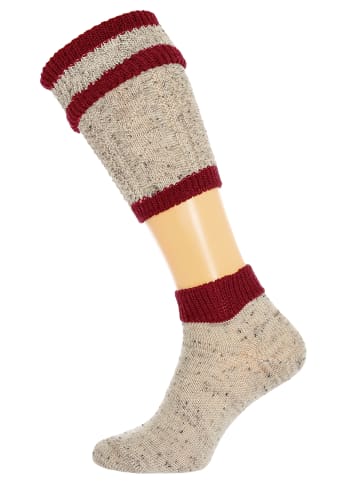 Lusana Loferl L479T-920 in beige-bordeaux