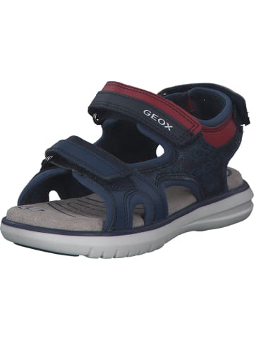 Geox Sandalen in NAVY/DK RED