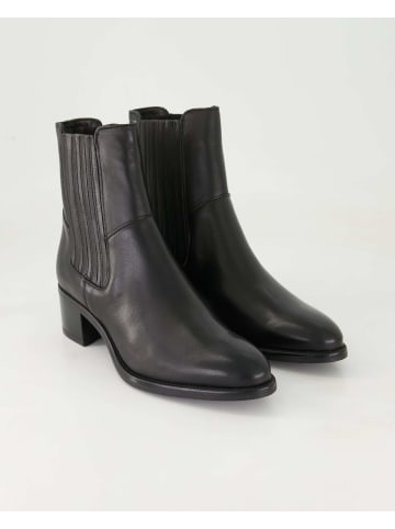 Terry Klassische Stiefeletten in Schwarz