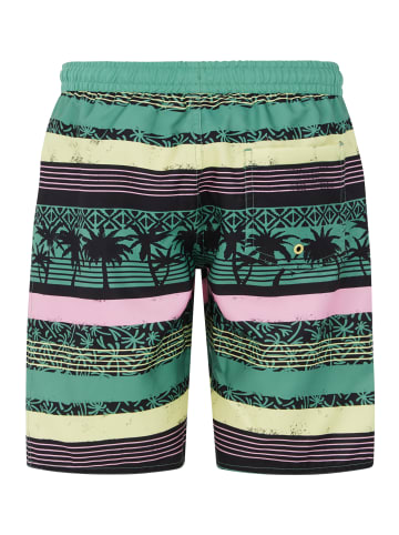 Protest " PRTFRISBY JR in Frosty Green