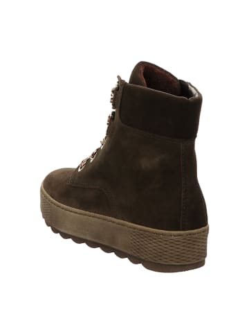 Gabor Comfort Boots in Braun