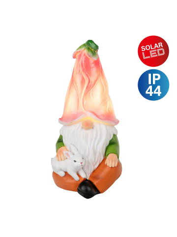 näve LED Solarleuchte "ZWERG GÜNTER" in multicolor