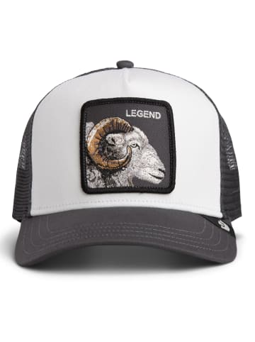 Goorin Bros. Cap in Legend Trucker Dust