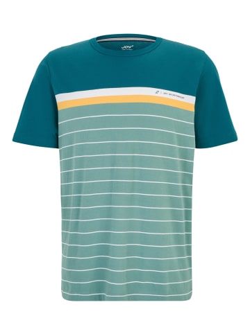 Joy Sportswear T-Shirt FALK in lake green stripes