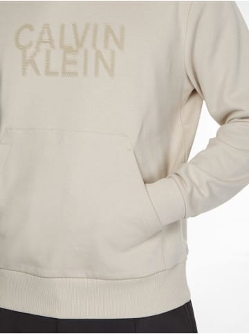 Calvin Klein Sweatshirt in stony beige