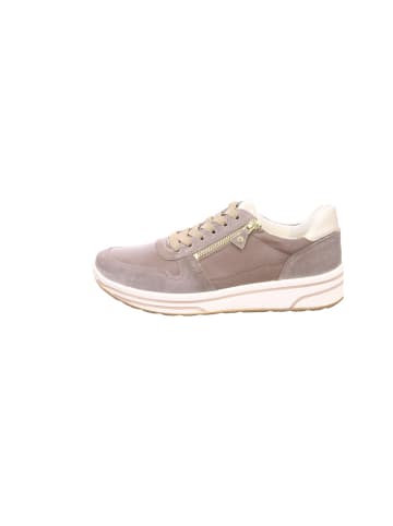 ara Sneakers in taupe