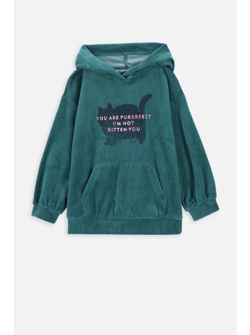 Coccodrillo Sweatshirt in grün