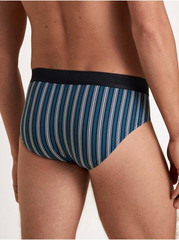 Calida Slip in insignia blue