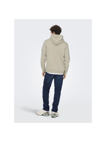 Only&Sons Sweatshirt in Silver Lining