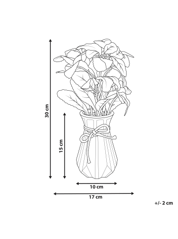 Beliani Kunstpflanze PEPEROMIA ARGYREIA in Grün/Schwarz - (W) 17 x (H) 30 x (L) 17 cm