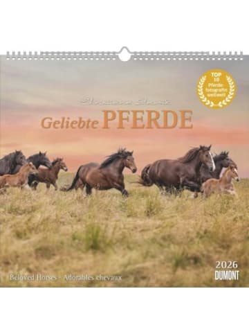 DuMont Kalenderverlag Kalender - DUMONT - Geliebte Pferde 2026 - Wandkalender 38 x 36 cm - Pferdefoto