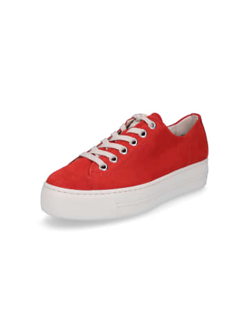 Paul Green Sneaker in Rot