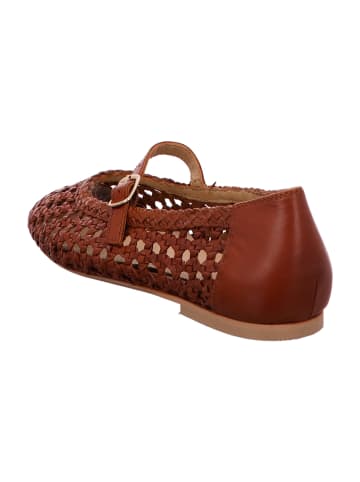 Bullboxer Ballerinas in Braun