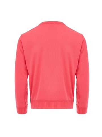 NALLY Pullover in Pink