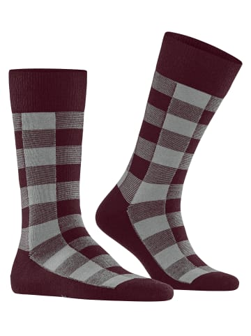 Burlington Buffalo Check Socke in Oxford
