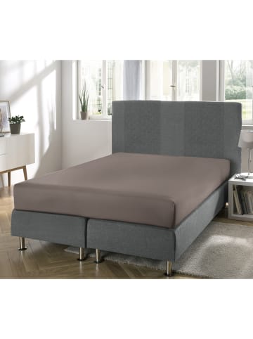 Erwin Müller Single-Jersey Boxspring-Spannbettlaken Regensburg in braun