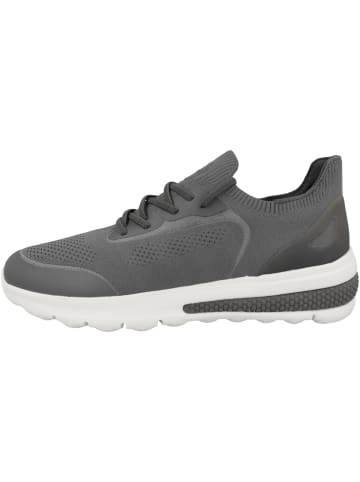 Geox Sneaker low U Spherica Actif A in grau