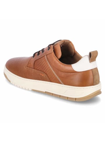 Bullboxer Schuh in braun