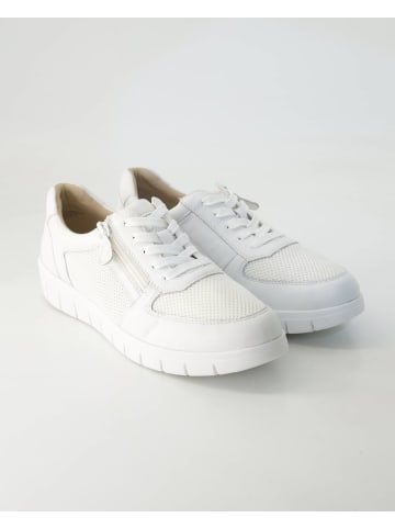 Terry Sportliche Schnürschuhe in Weiß