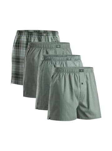 DANISH ENDURANCE Boxershorts American Boxers in green/stripes mix
