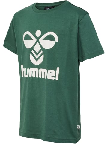 Hummel T-Shirt S/S Hmltres T-Shirt S/S 2-Pack in BUTTERSCOTCH/PINENEEDLE