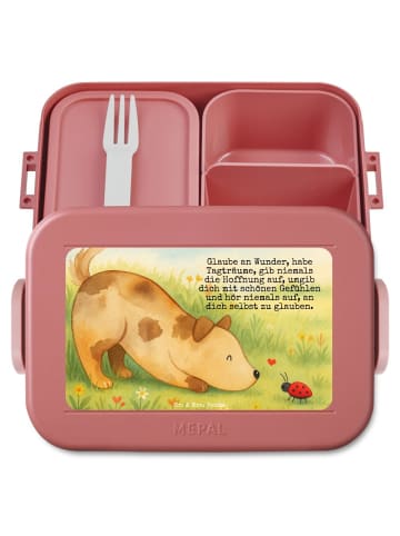 Mr. & Mrs. Panda Bento Box Hund Marienkäfer Design mit Spruch in Rot Pastell