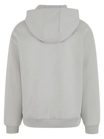 Mister Tee Sweat & Fleece - Hoodies in lightasphalt