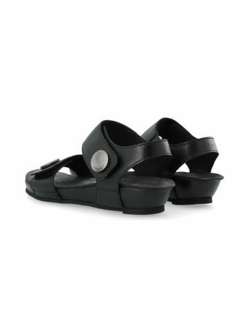 Cashott Sandalen CASAVA in Black
