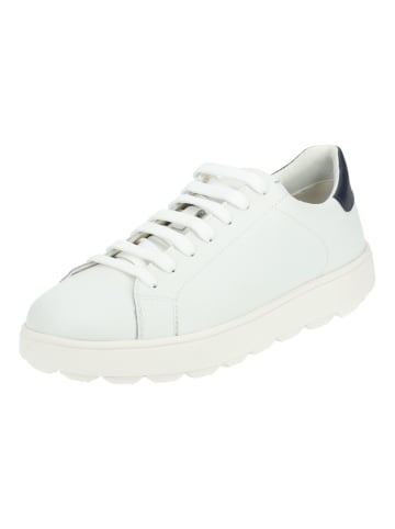 Geox Sneaker Weiß/Navy