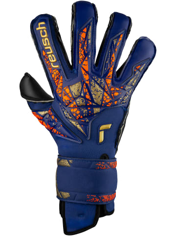 Reusch Torwarthandschuh Attrakt Duo Evolution in 4411 premium blue/gold/black