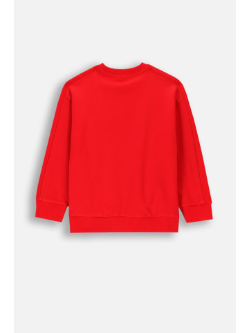 Coccodrillo Sweatshirt in rot