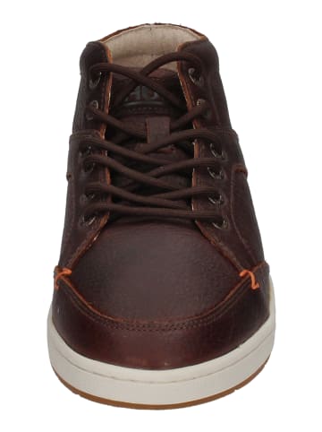 Hub Sneaker High Kingston in braun