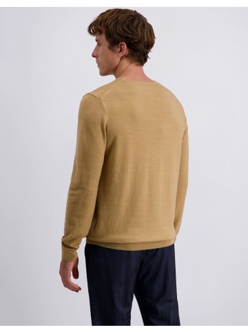 Pierre Cardin Pullover in Lark