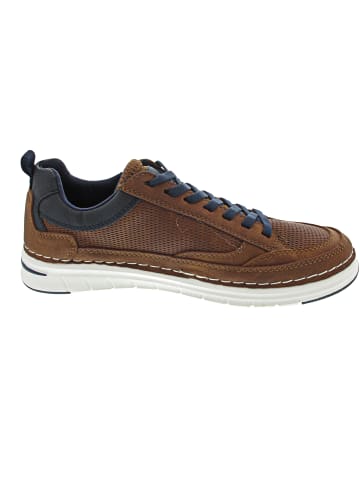 Tom Tailor Sneaker low Braun