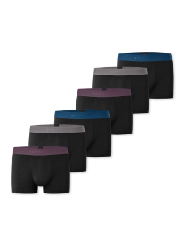 Schiesser Retro Short / Pant 95/5 Cotton in Schwarz