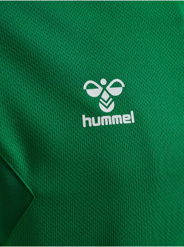 Hummel Hummel Hoodie Hmlauthentic Multisport Herren Atmungsaktiv in JELLY BEAN