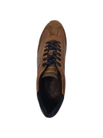 bugatti shoes sportlicher Schnürer Stranger in Braun