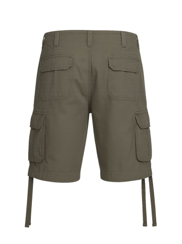 Brandit Brandit Cargo Shorts in olive