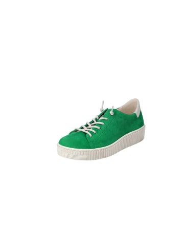 Gabor Lowtop-Sneaker in verde/neve/beige