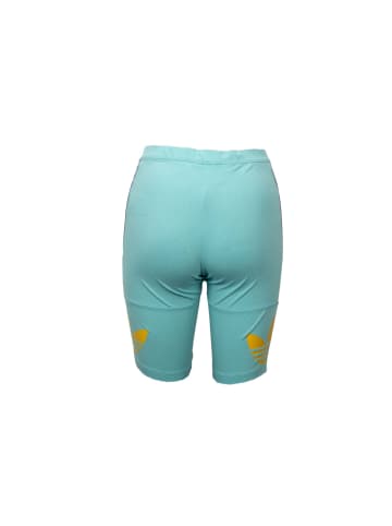 adidas Hose Cycling Short Hot Pant in Blau