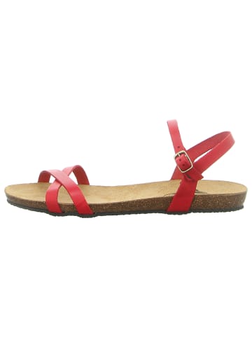 Plakton Sandale in rot