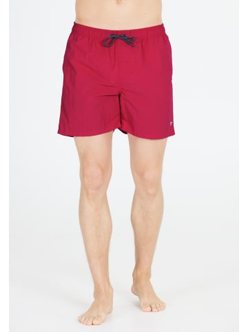 Cruz Shorts Eyemouth in 4306 Barberry