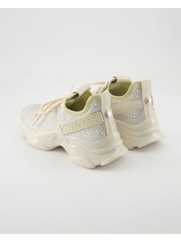 Steve Madden Sneaker low in Beige