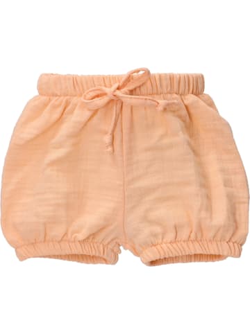 Baby Sweets Babyshorts Bruno der Eisbär in orange