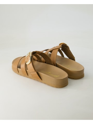 Paul Green Pantoletten in Braun