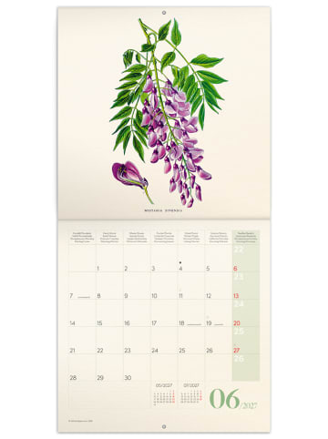 NOTIQUE Wandkalender 2027 in Herbarium - 30 x 30 cm