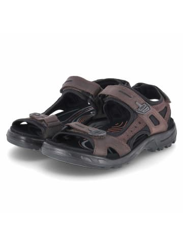 Ecco Sandalette in braun