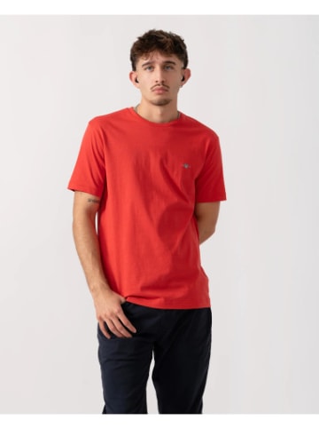 Gant Tshirt in bunt